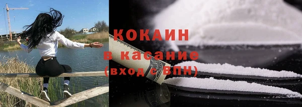 сатива Дмитриев