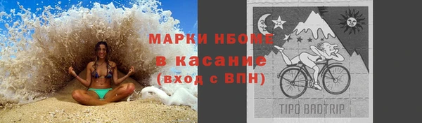 сатива Дмитриев