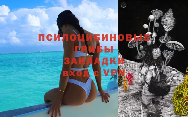 сатива Дмитриев