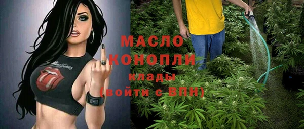 сатива Дмитриев