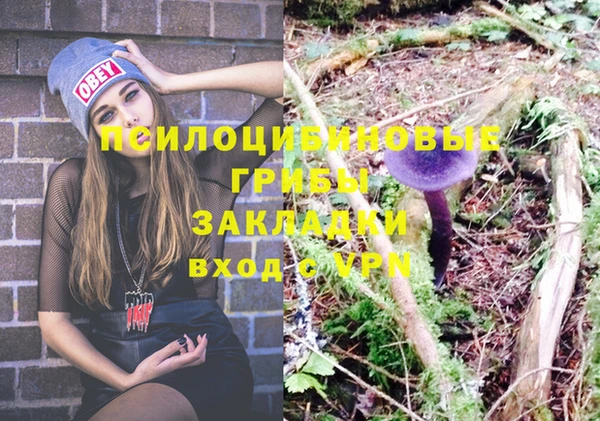 прущая мука Дмитровск