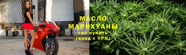 сатива Дмитриев