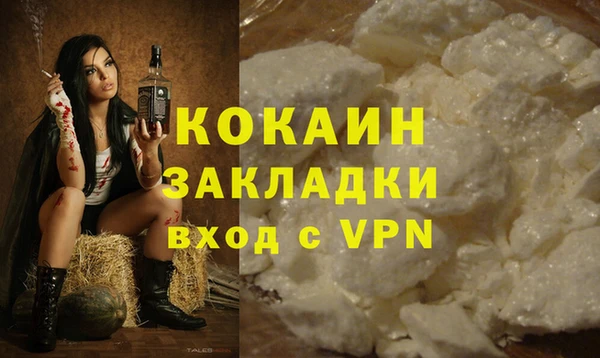 сатива Дмитриев
