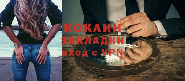 сатива Дмитриев