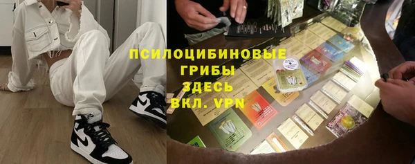 сатива Дмитриев