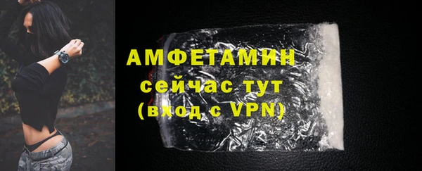 сатива Дмитриев