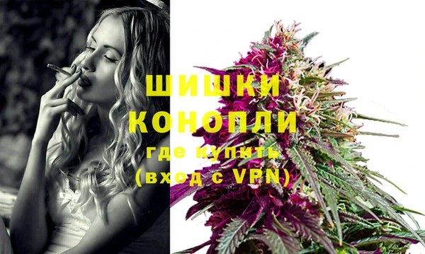 МДПВ Дмитров